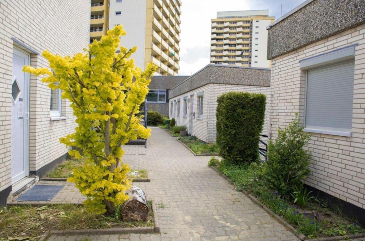 Ferienwohnung 479 Mit Schwimmbad,Sauna Und Bar In Panoramic Hohegeiss בראונלאגה מראה חיצוני תמונה